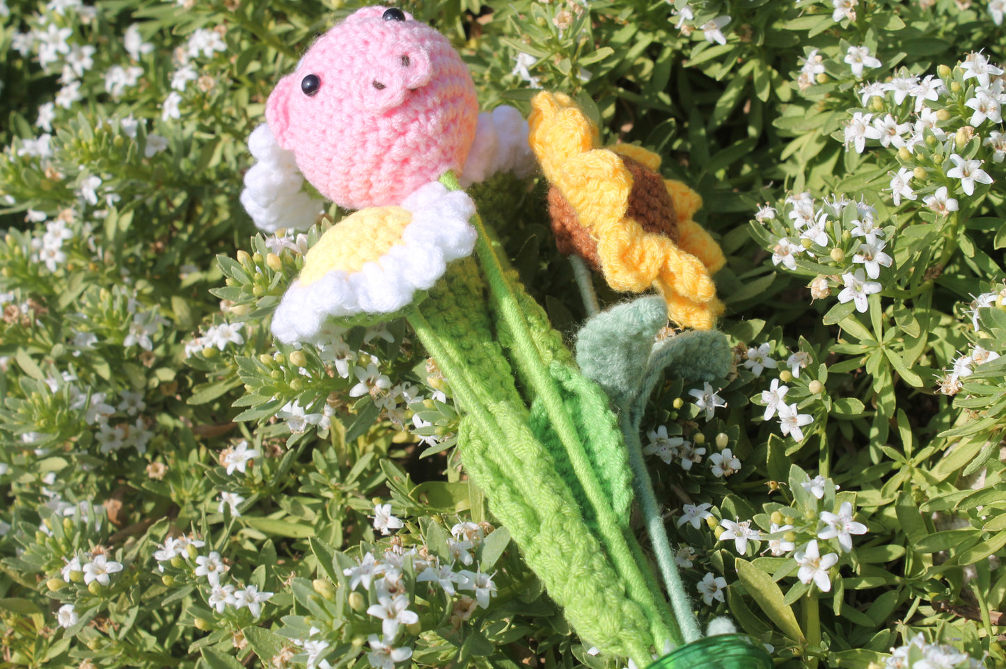 Piggy bouquet ๐