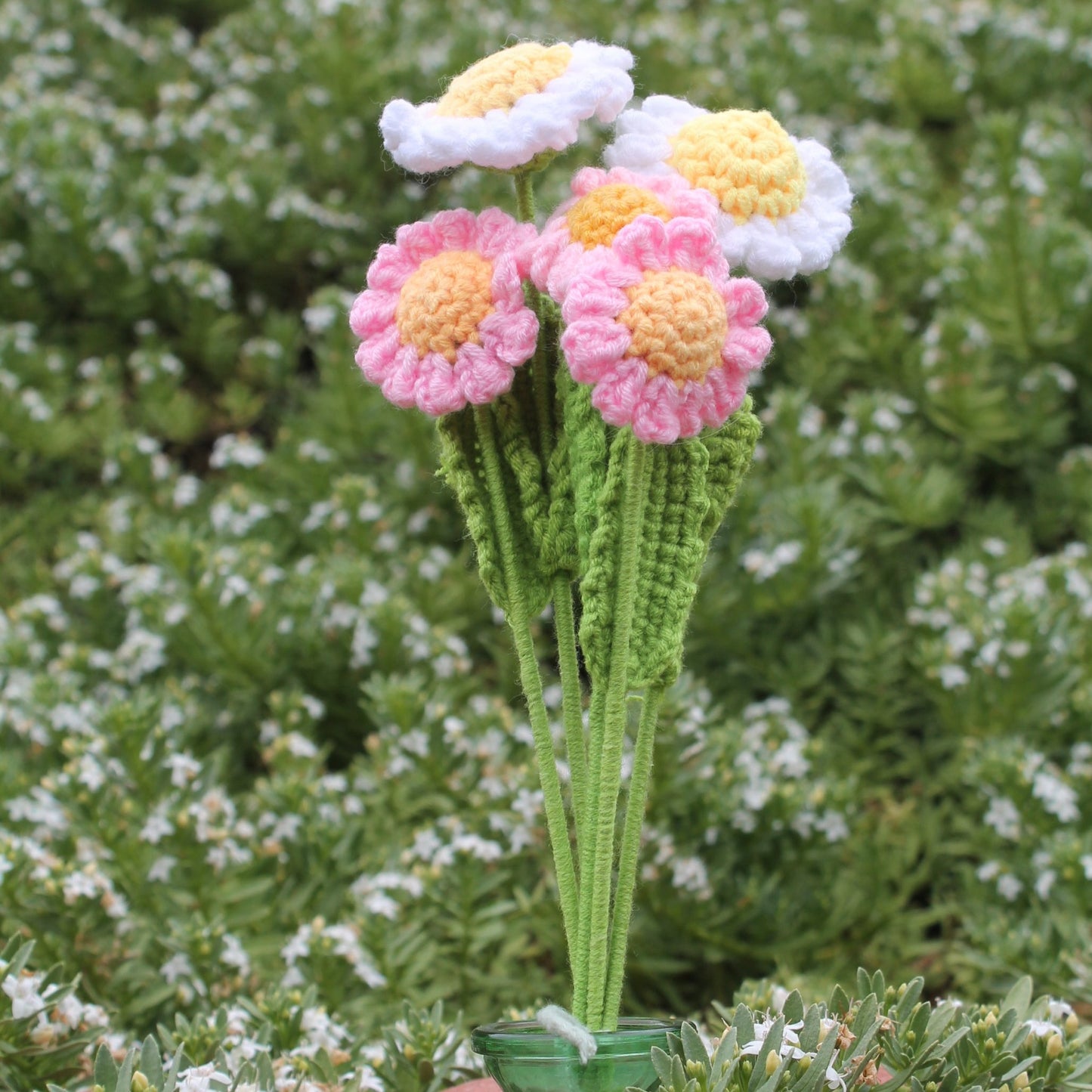 Daisies