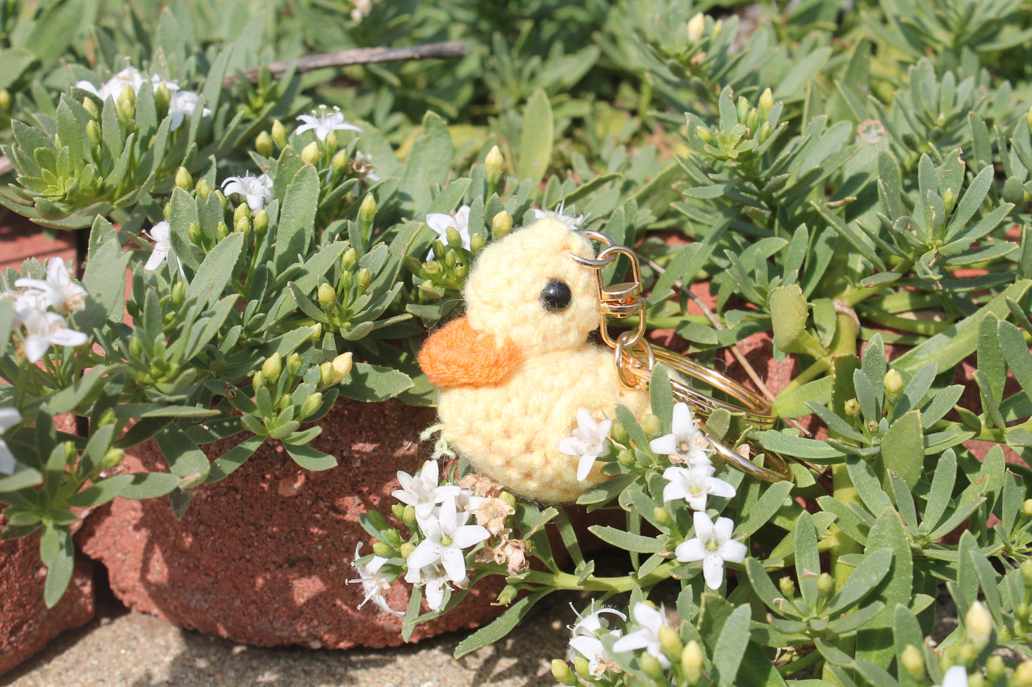 Duck ๐ฆ