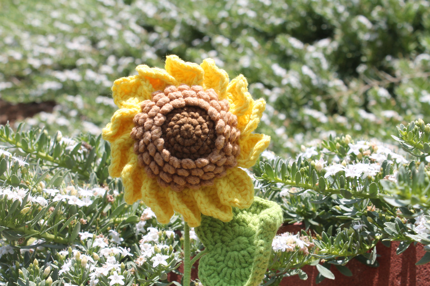 Momma sunflower π»