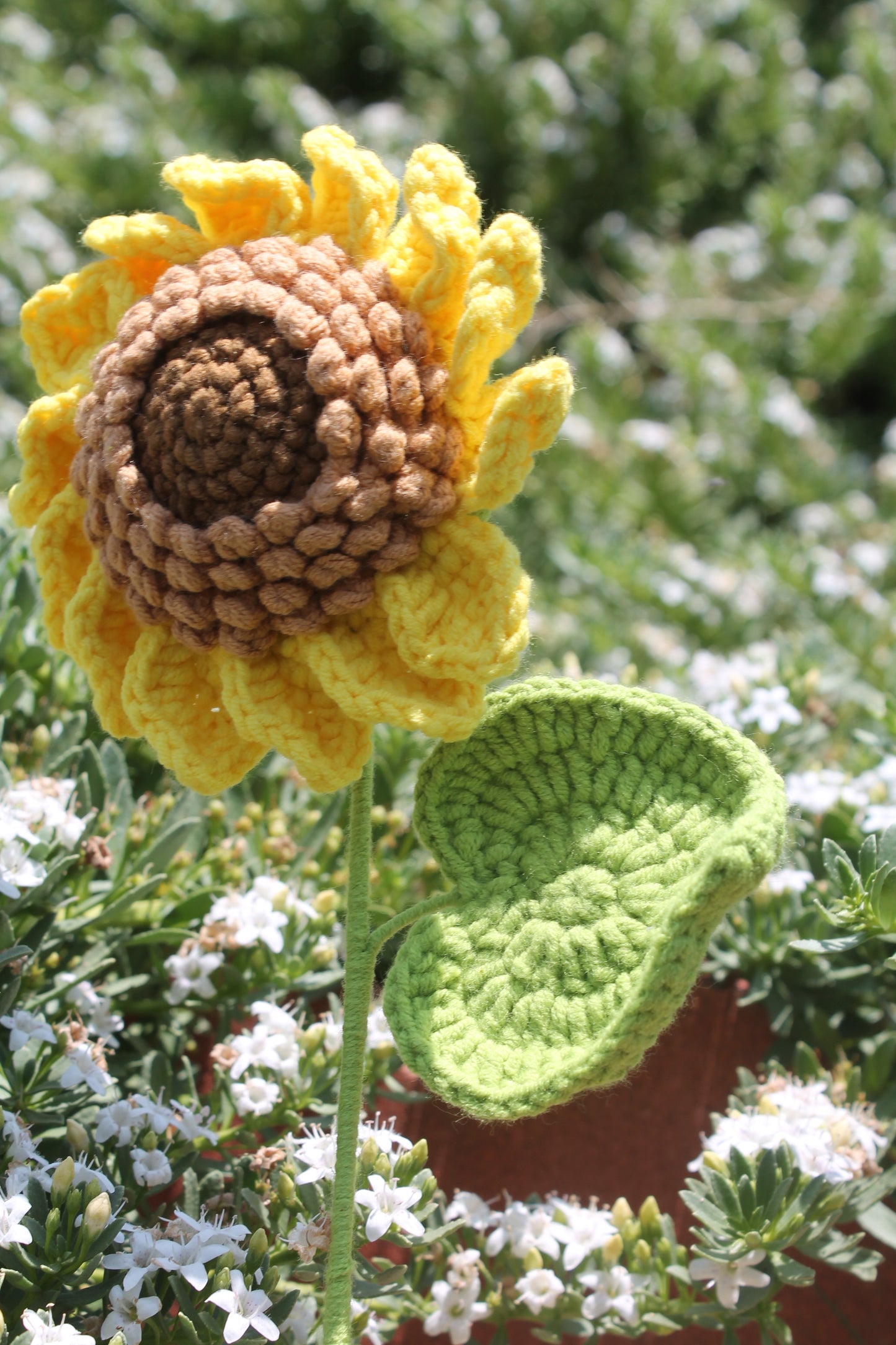Momma sunflower π»