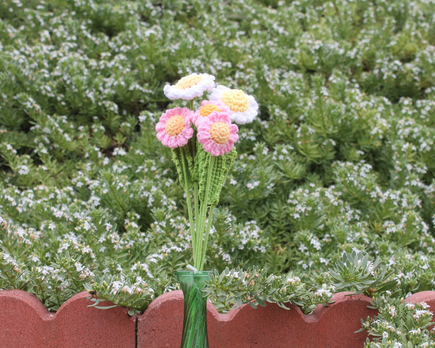 Daisies