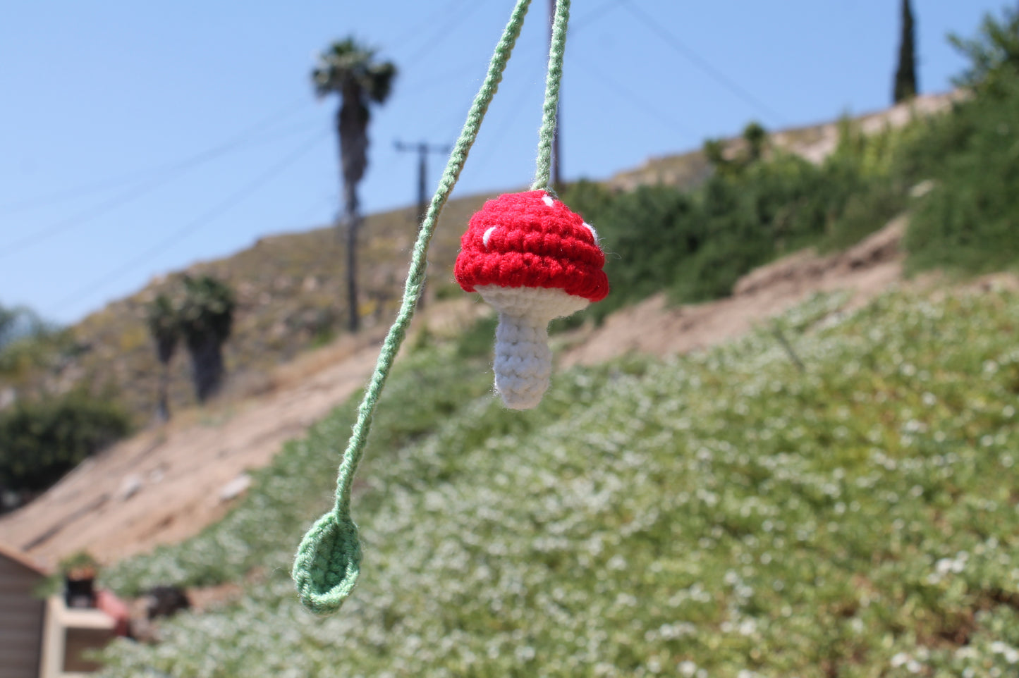 Hanging Mushroom ๐โ๏ธ