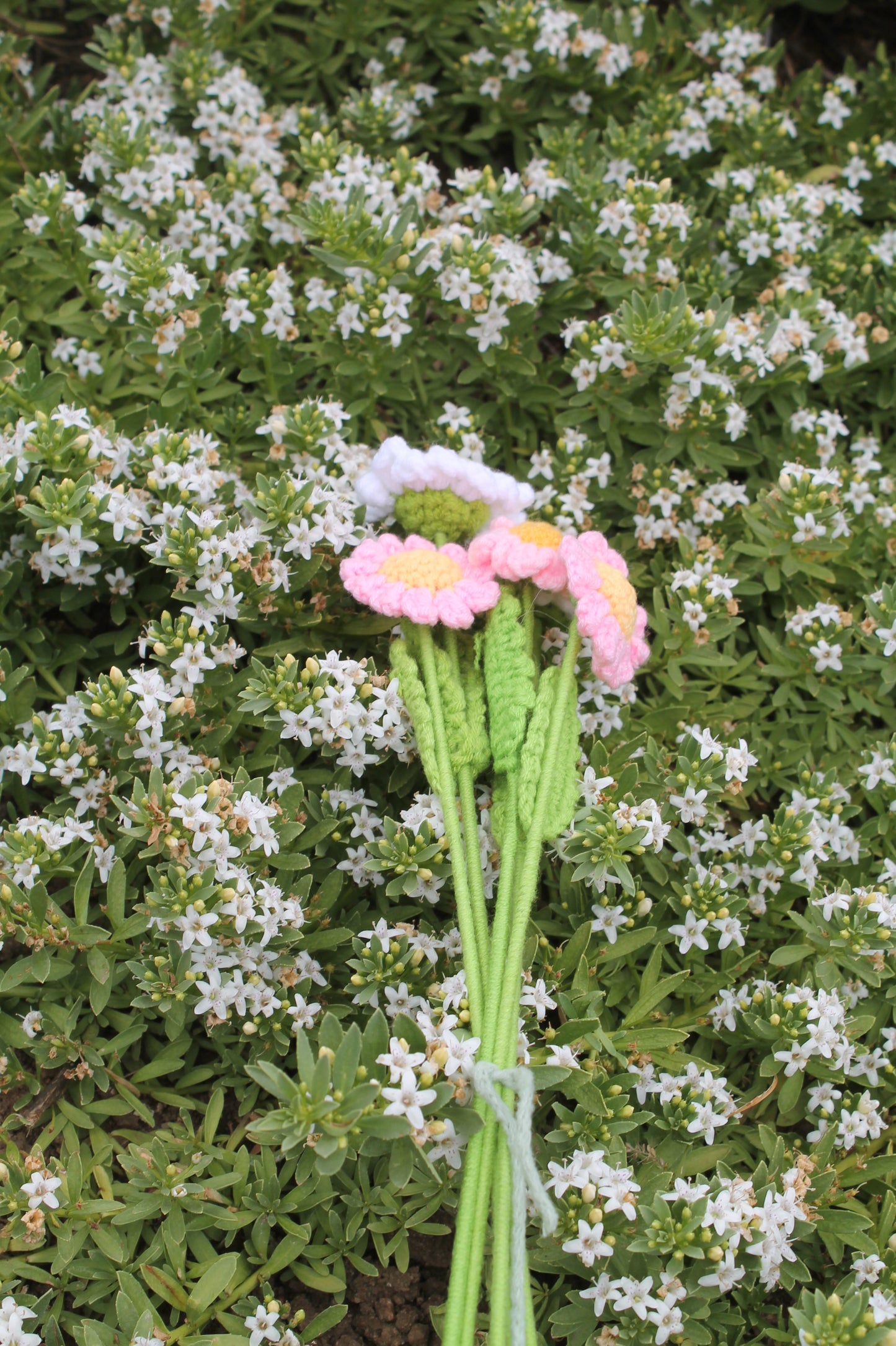 Daisy bouquet ๐