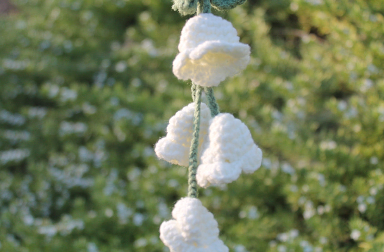 Lilly of the valley