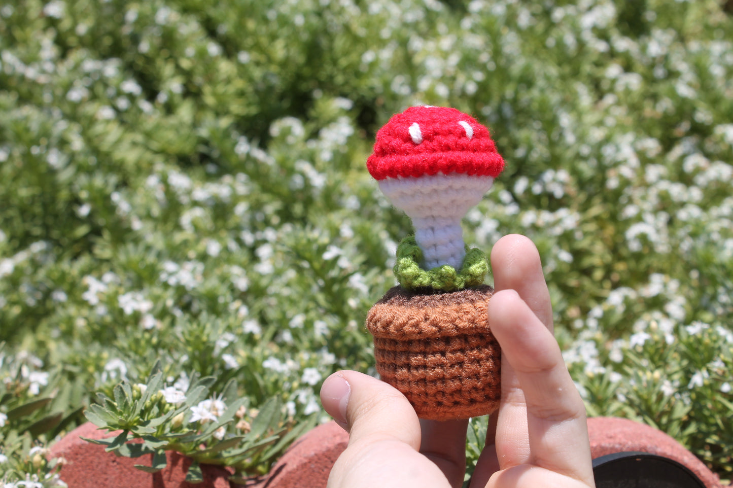 Mushroom mini pot❄️