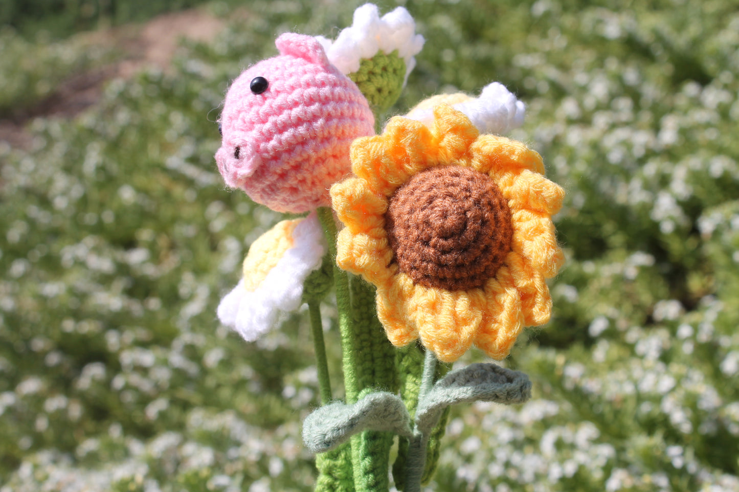 Piggy bouquet ๐