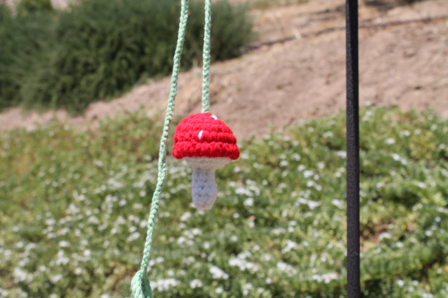 Hanging Mushroom ๐โ๏ธ