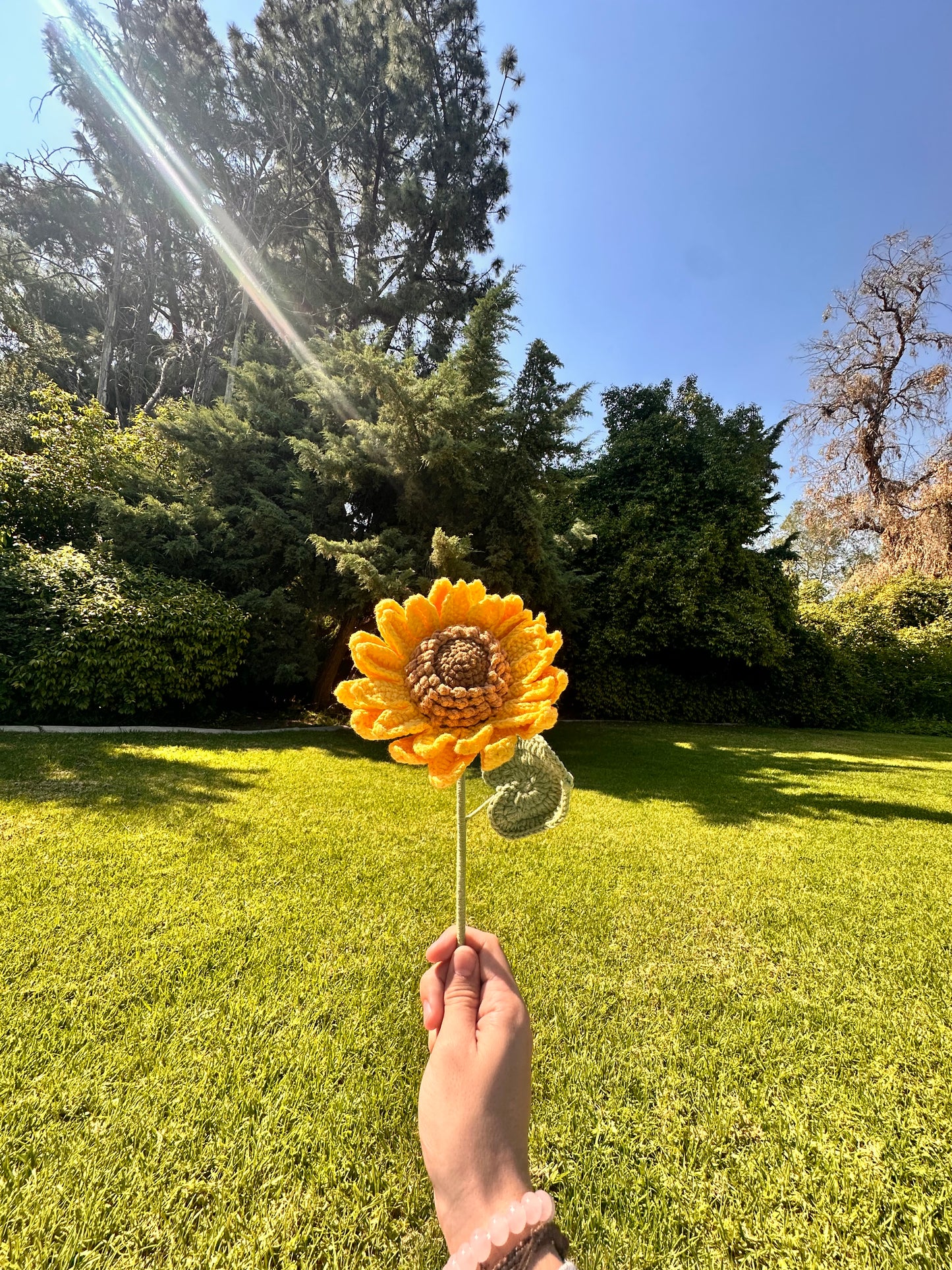 ₊˚ ʚ ˗ˏˋ ✧ Golden Bloom ✧ ˎˊ˗ ɞ˚₊