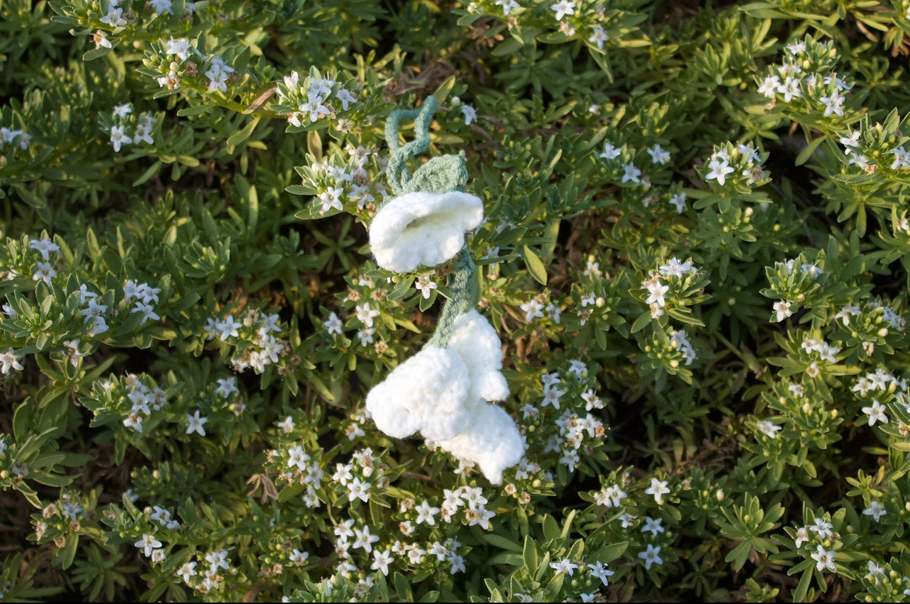 Lilly of the valley