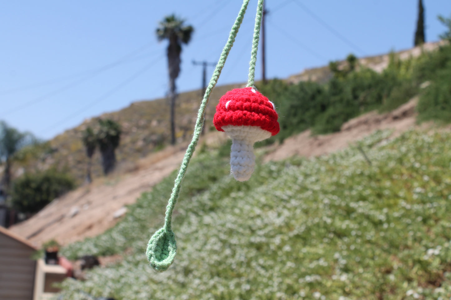 Hanging Mushroom ๐โ๏ธ