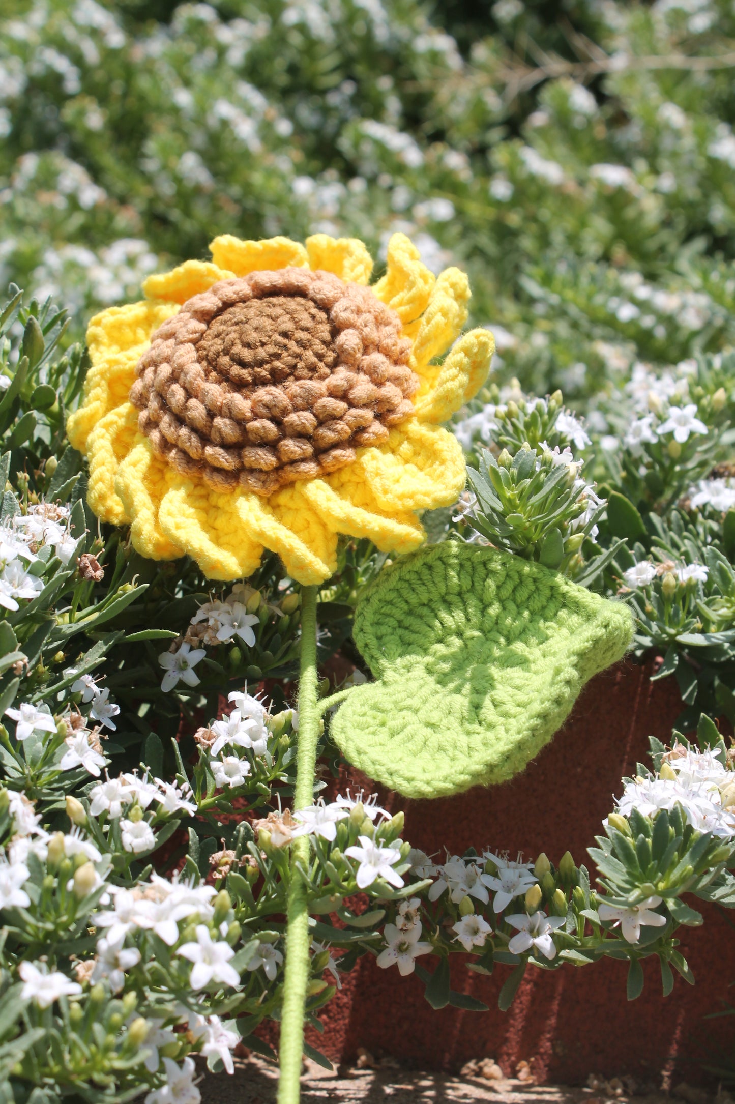 Momma sunflower π»