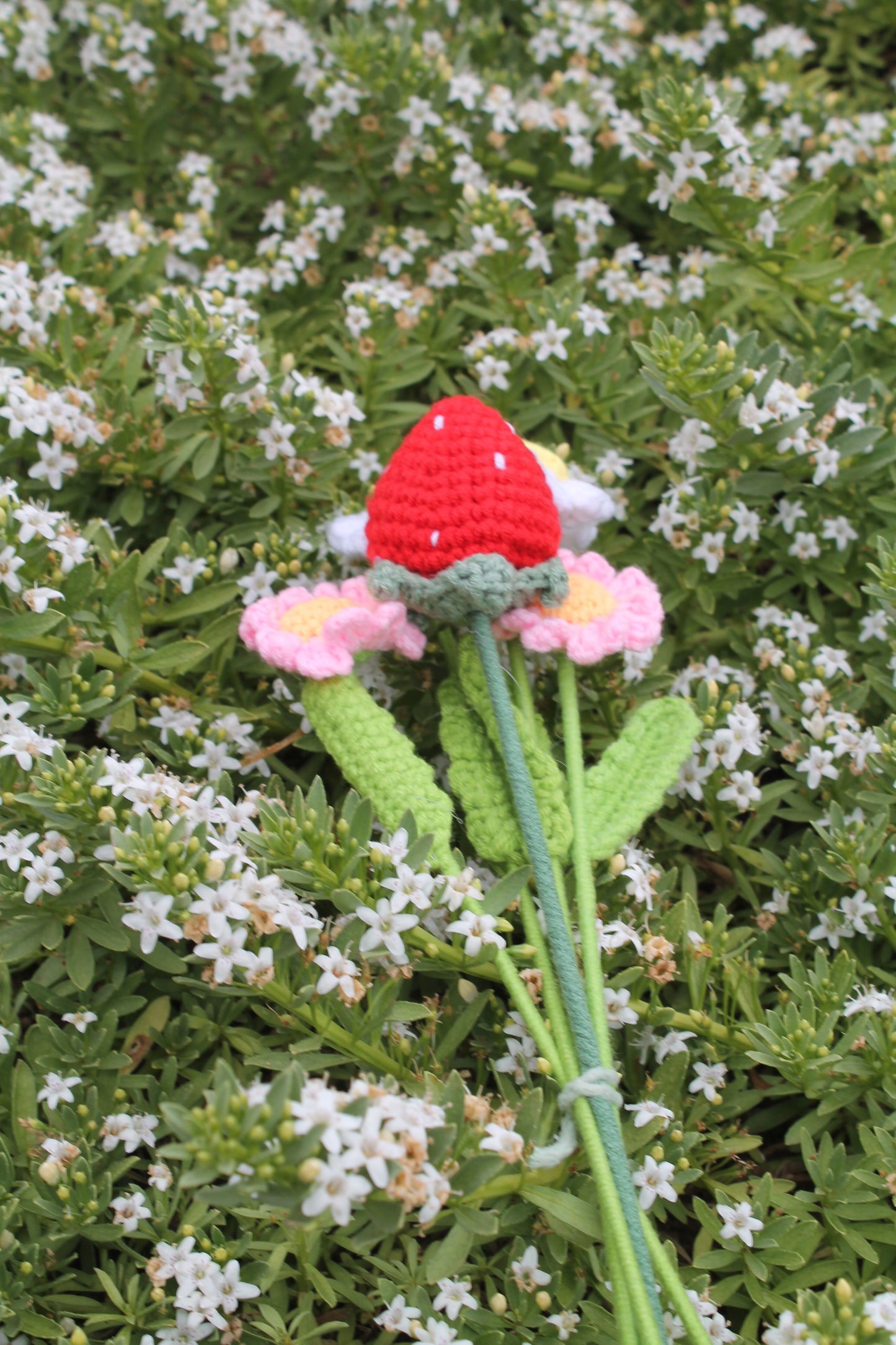 Strawberry bouquet π