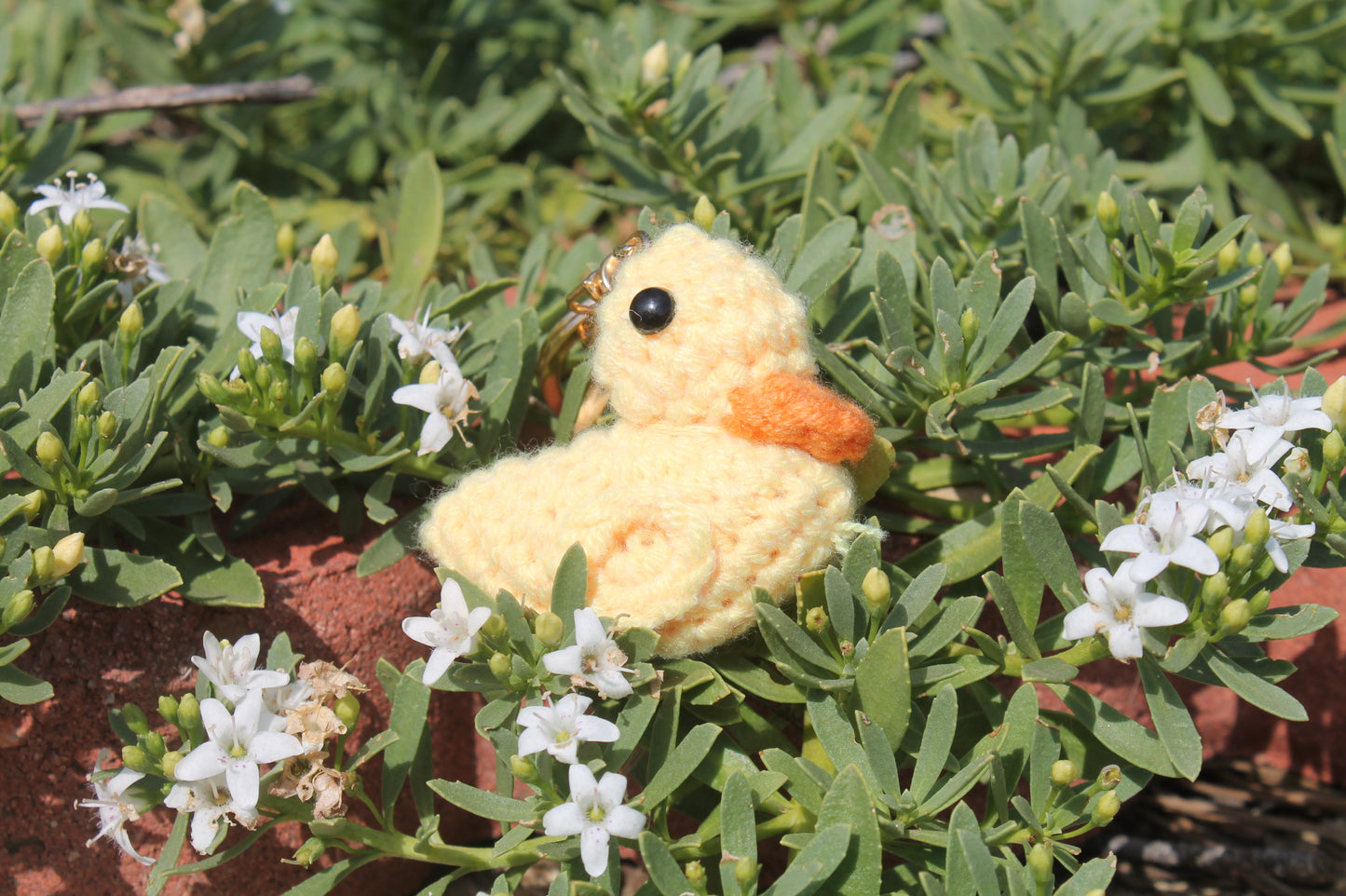 Duck ๐ฆ