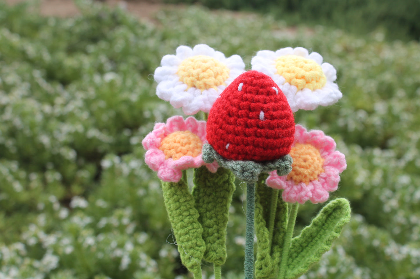 Strawberry bouquet π
