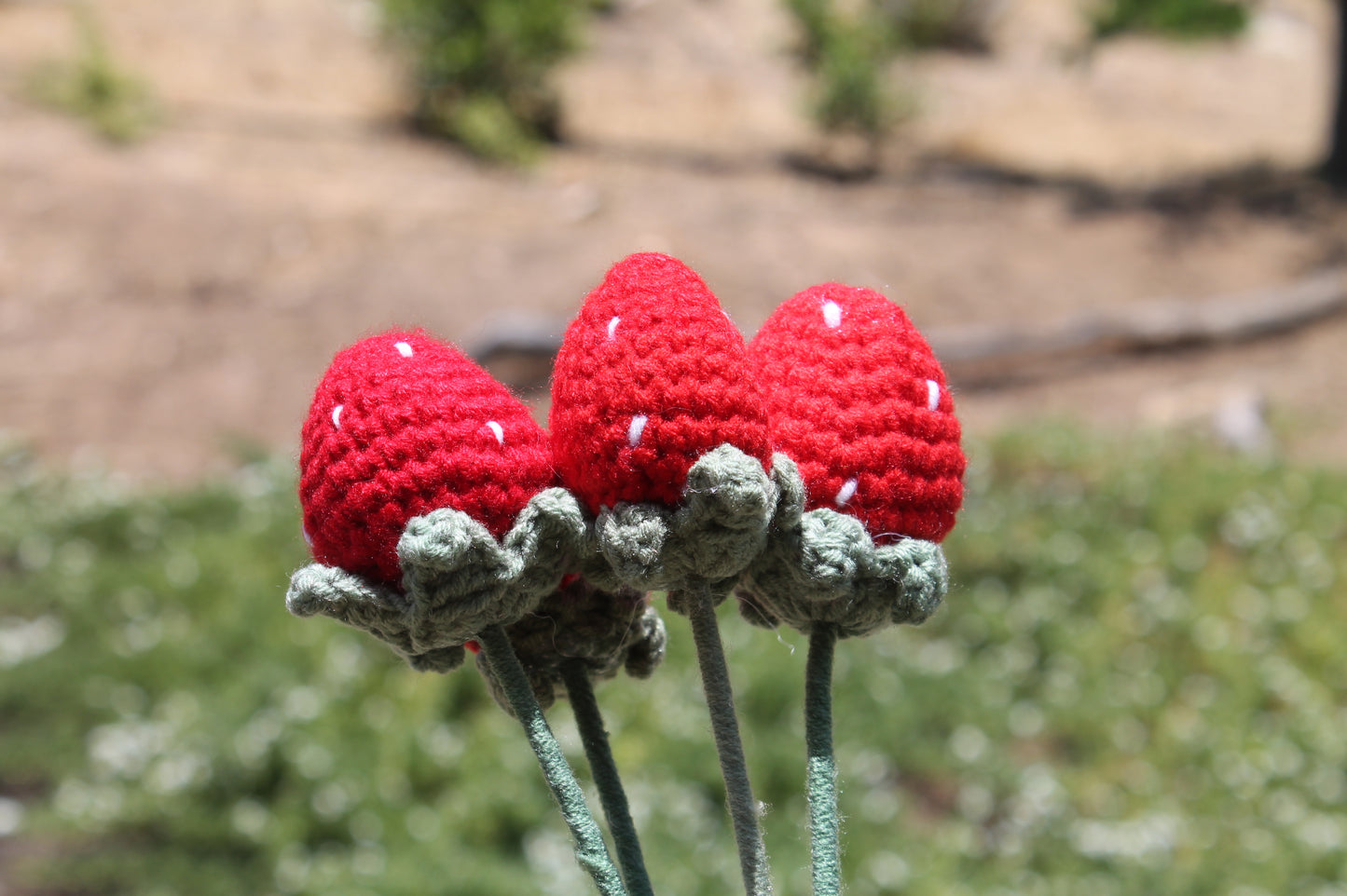 Strawberryโ๏ธ