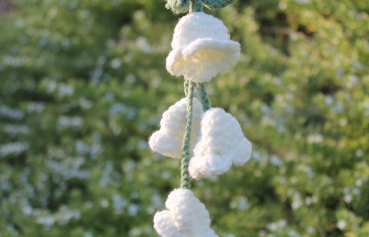 Lilly of the valley