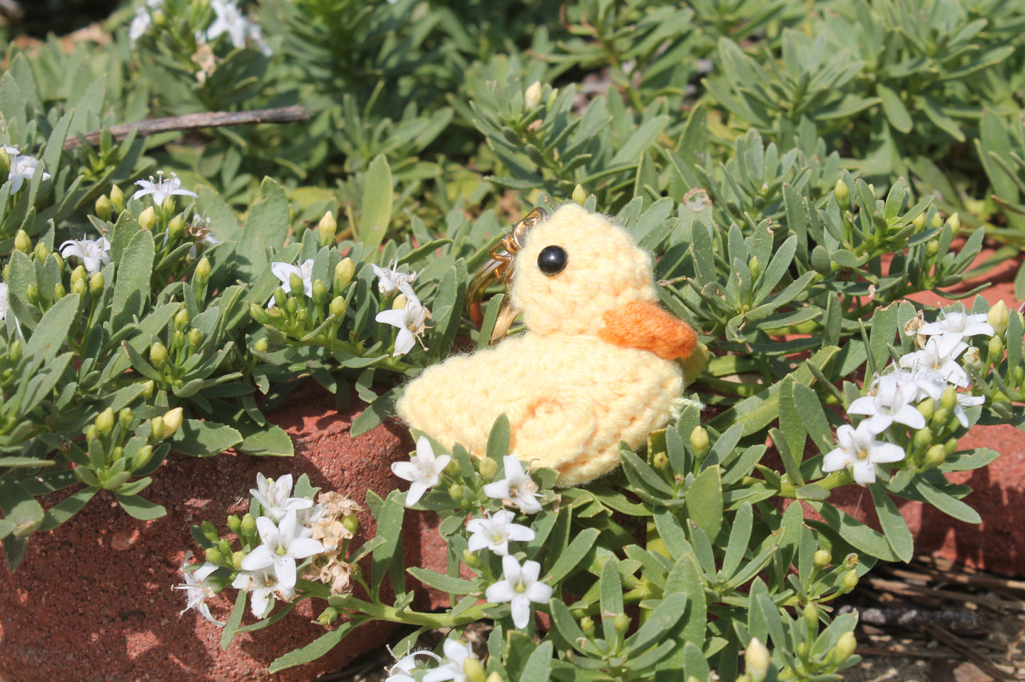 Duck ๐ฆ