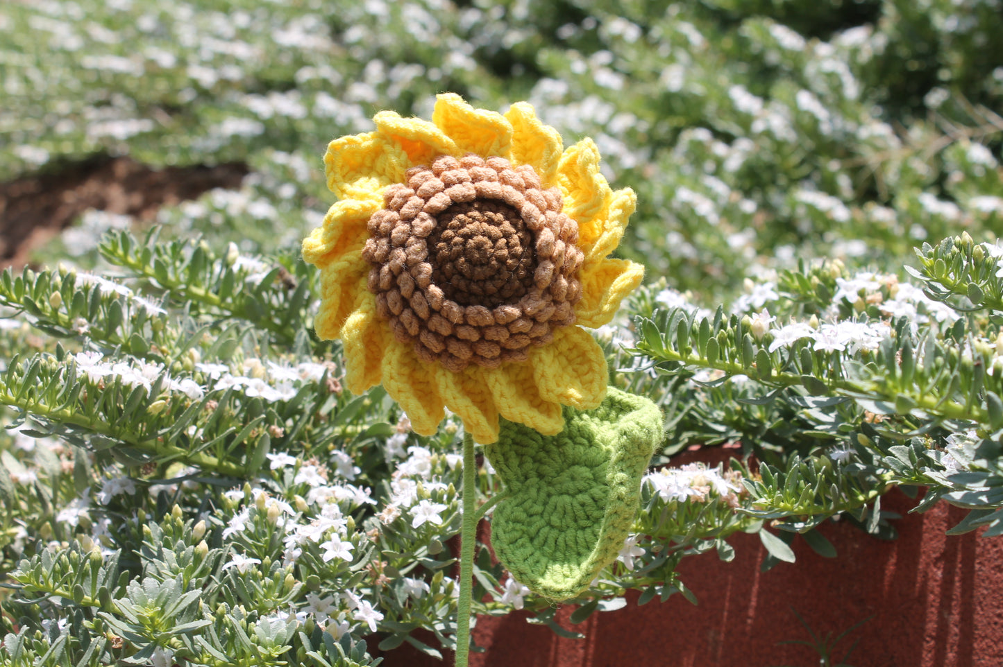 Momma sunflower π»