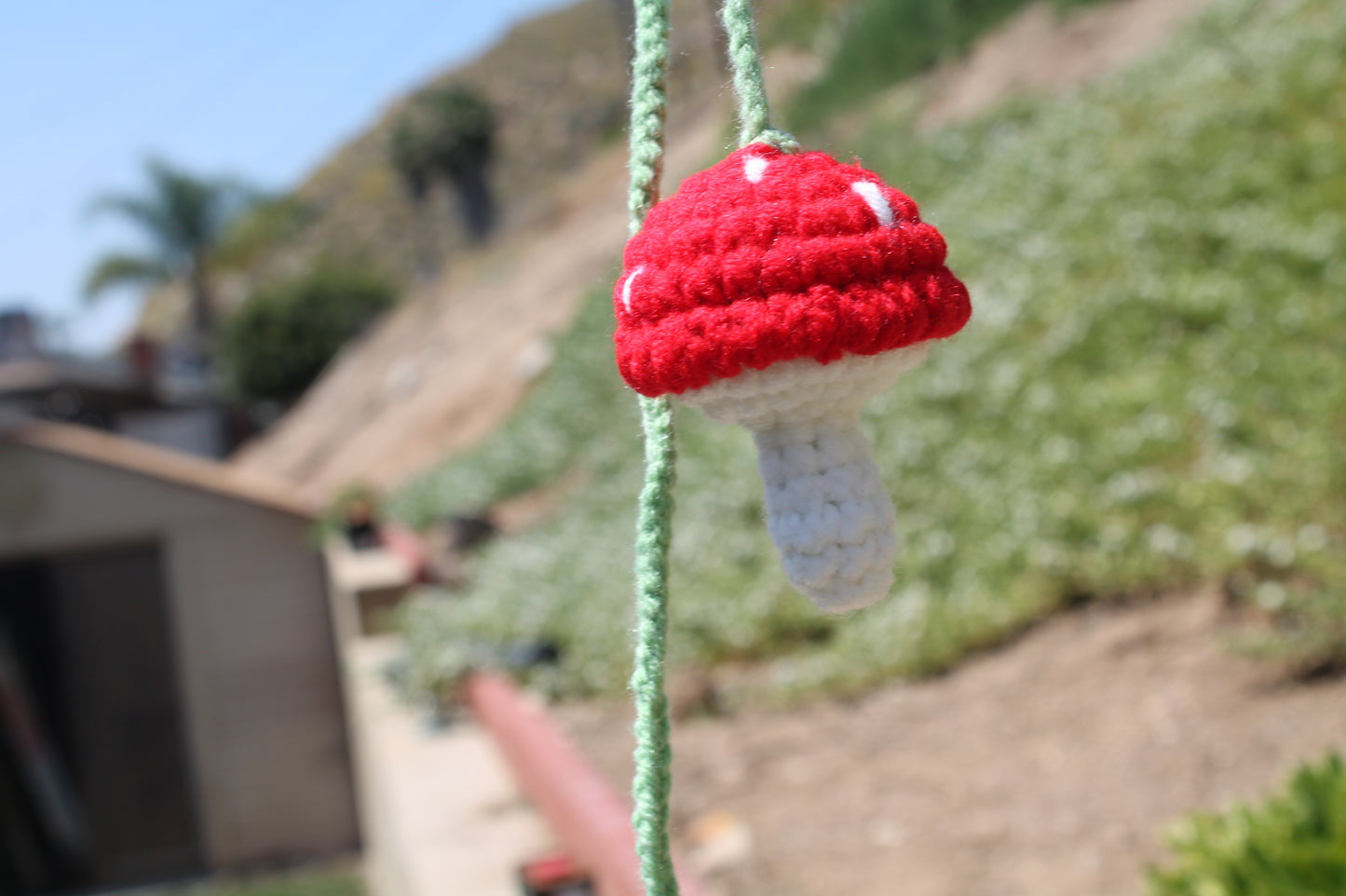 Hanging Mushroom ๐โ๏ธ