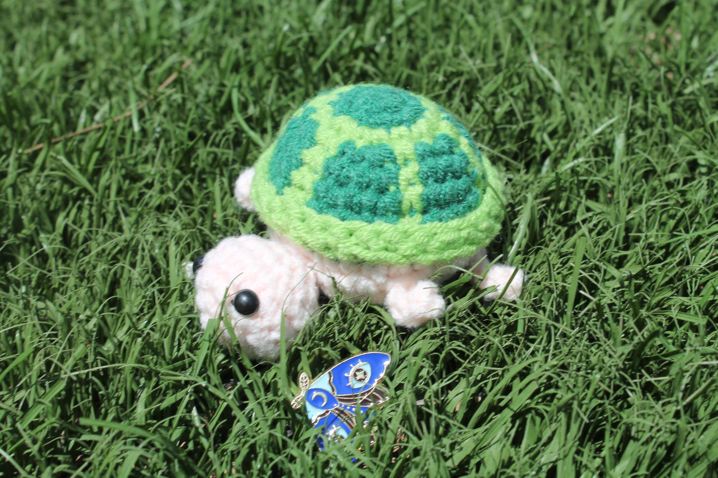 Larry the turtle 🐢