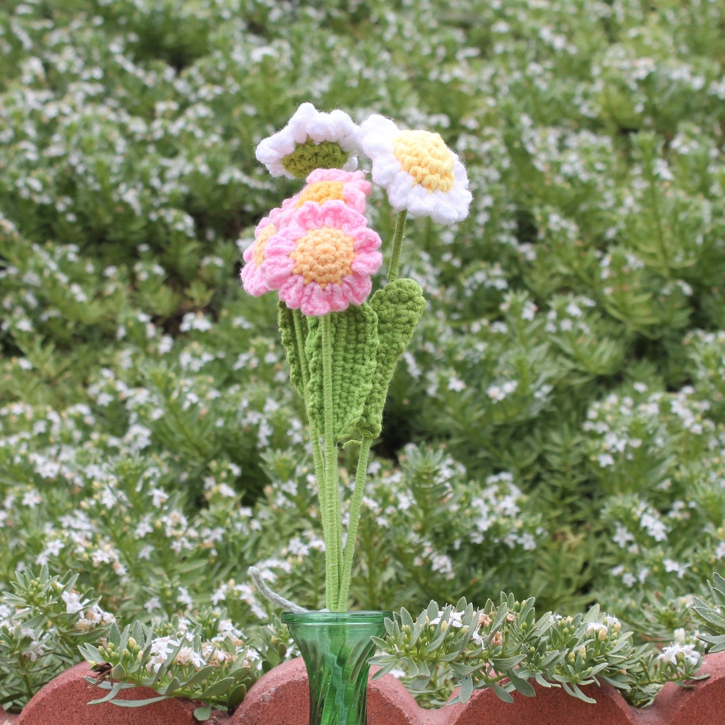 Daisies