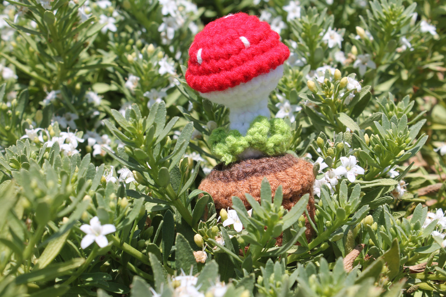 Mushroom mini pot❄️