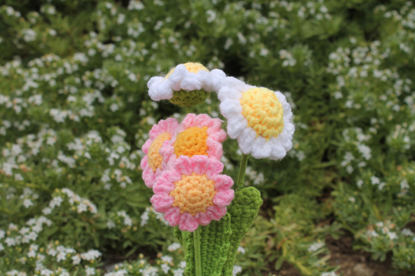 Daisy bouquet ๐