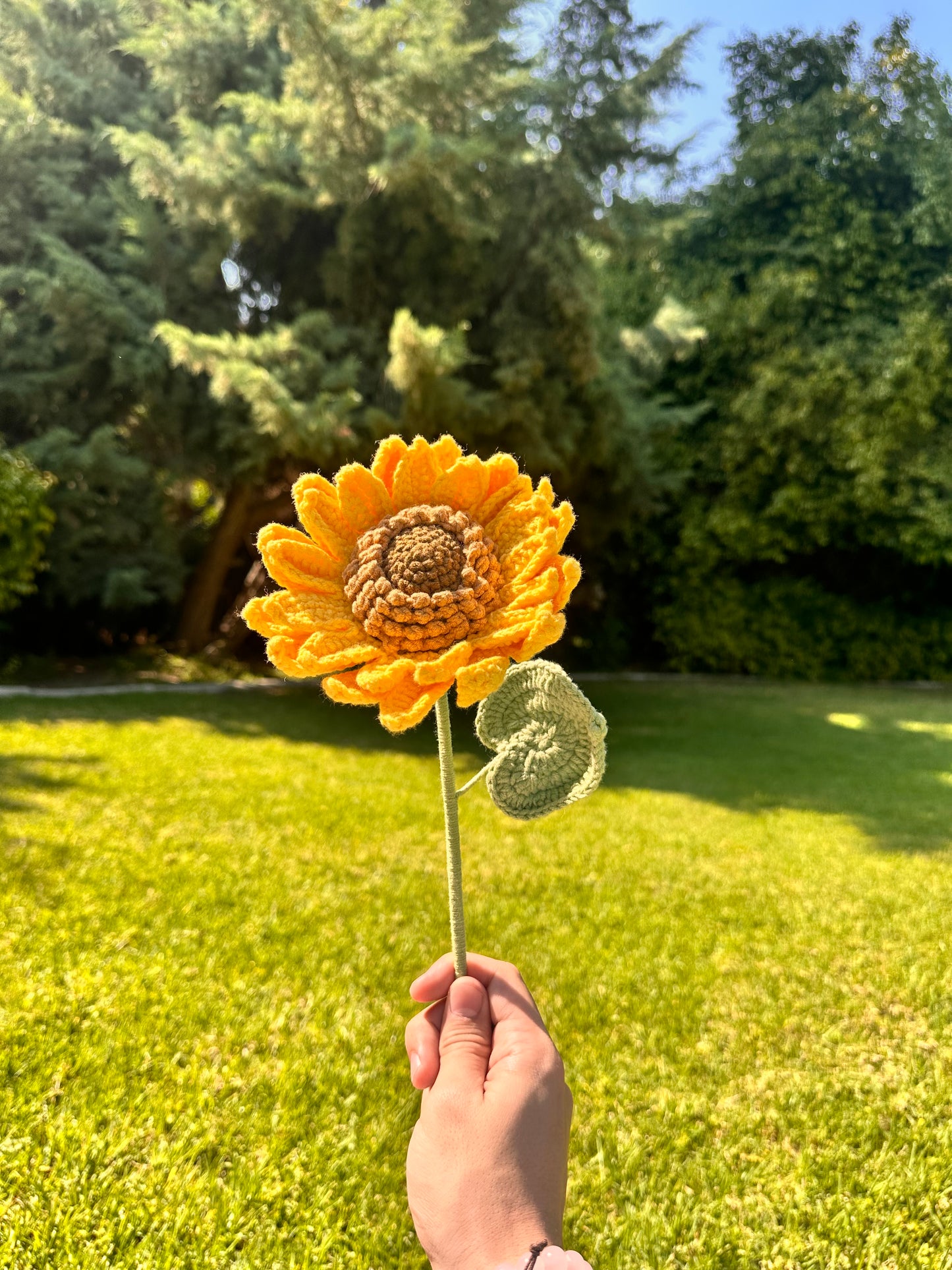 ₊˚ ʚ ˗ˏˋ ✧ Golden Bloom ✧ ˎˊ˗ ɞ˚₊