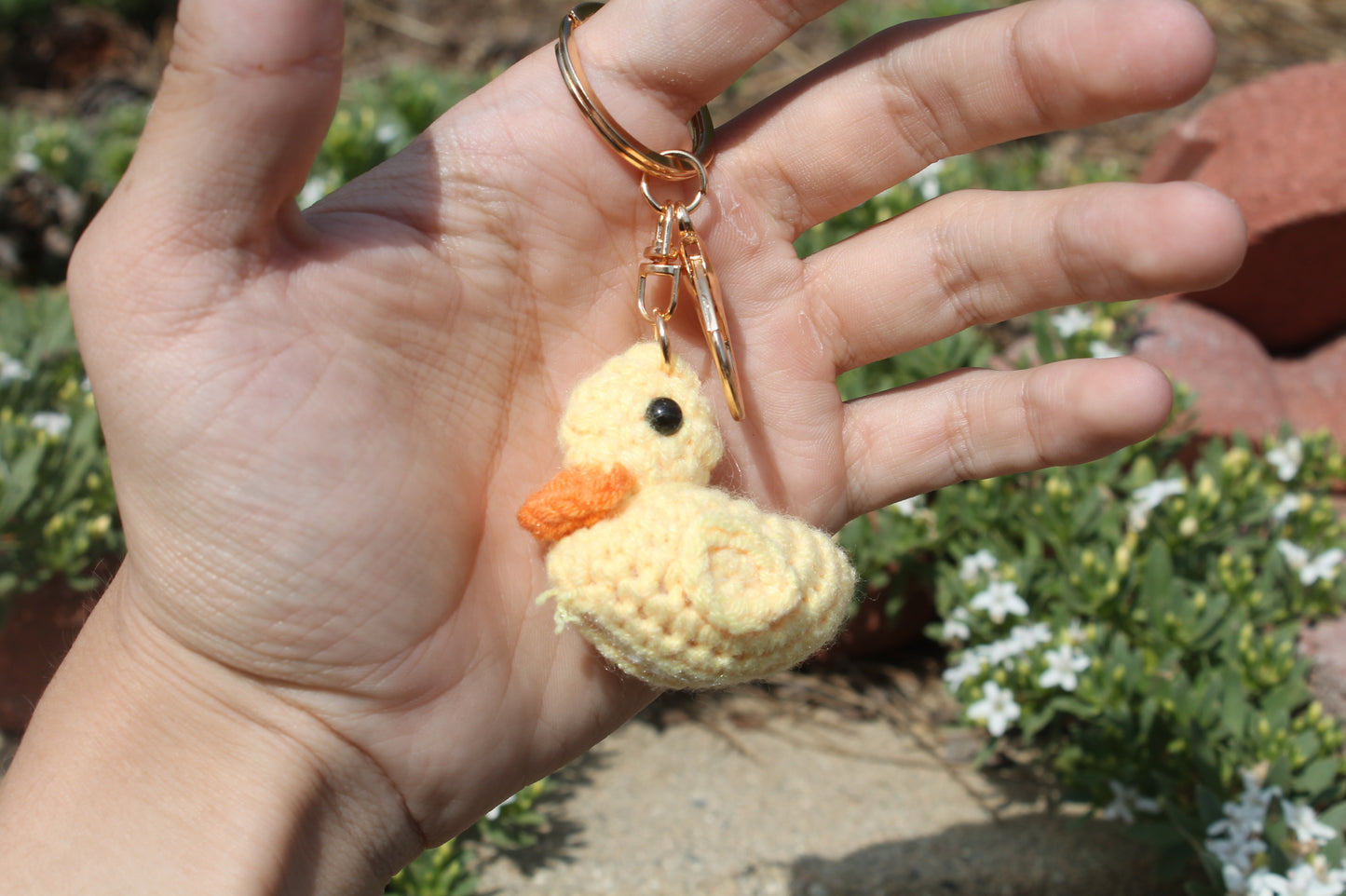 Duck ๐ฆ