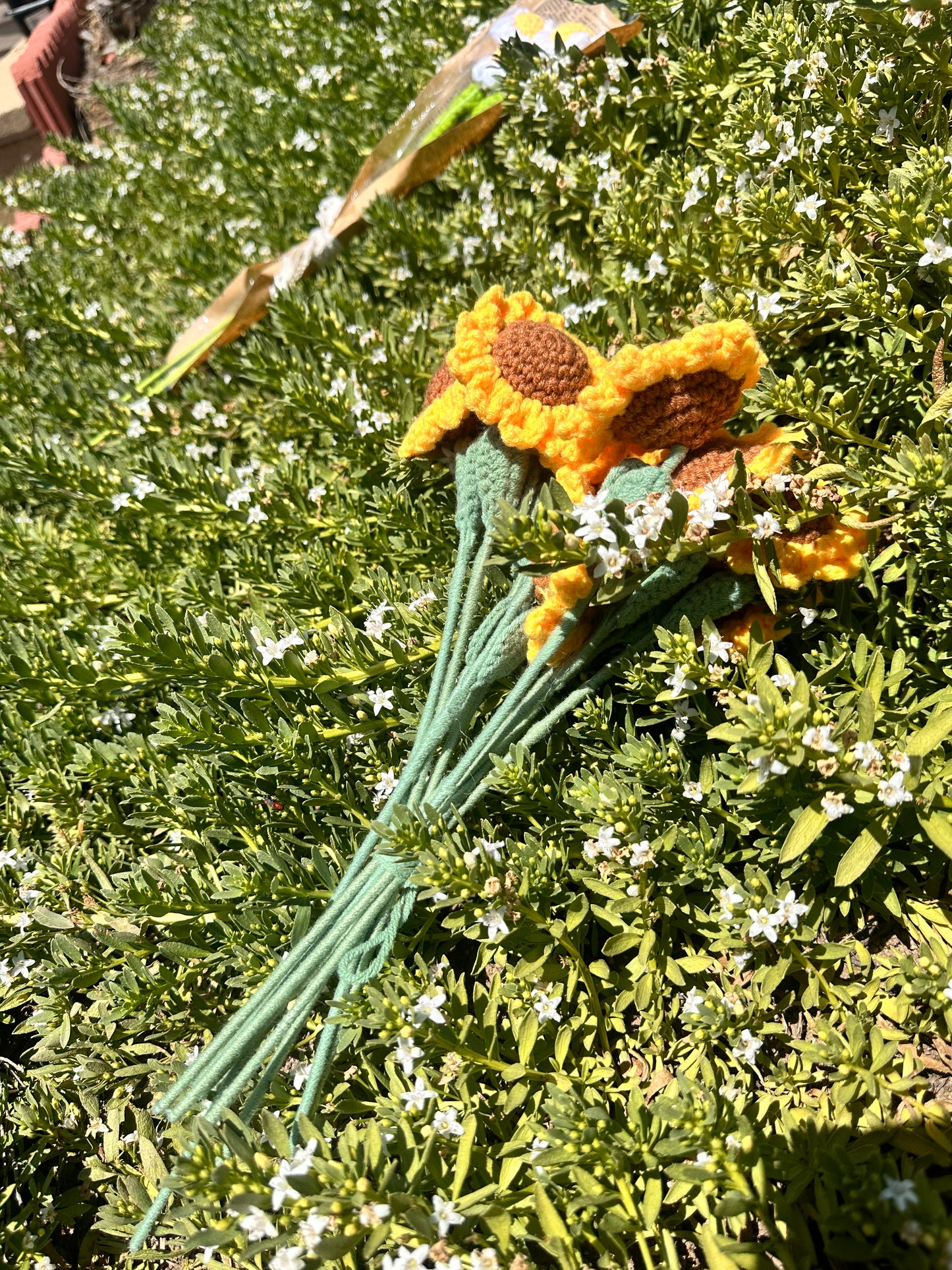 Sunflower bundle