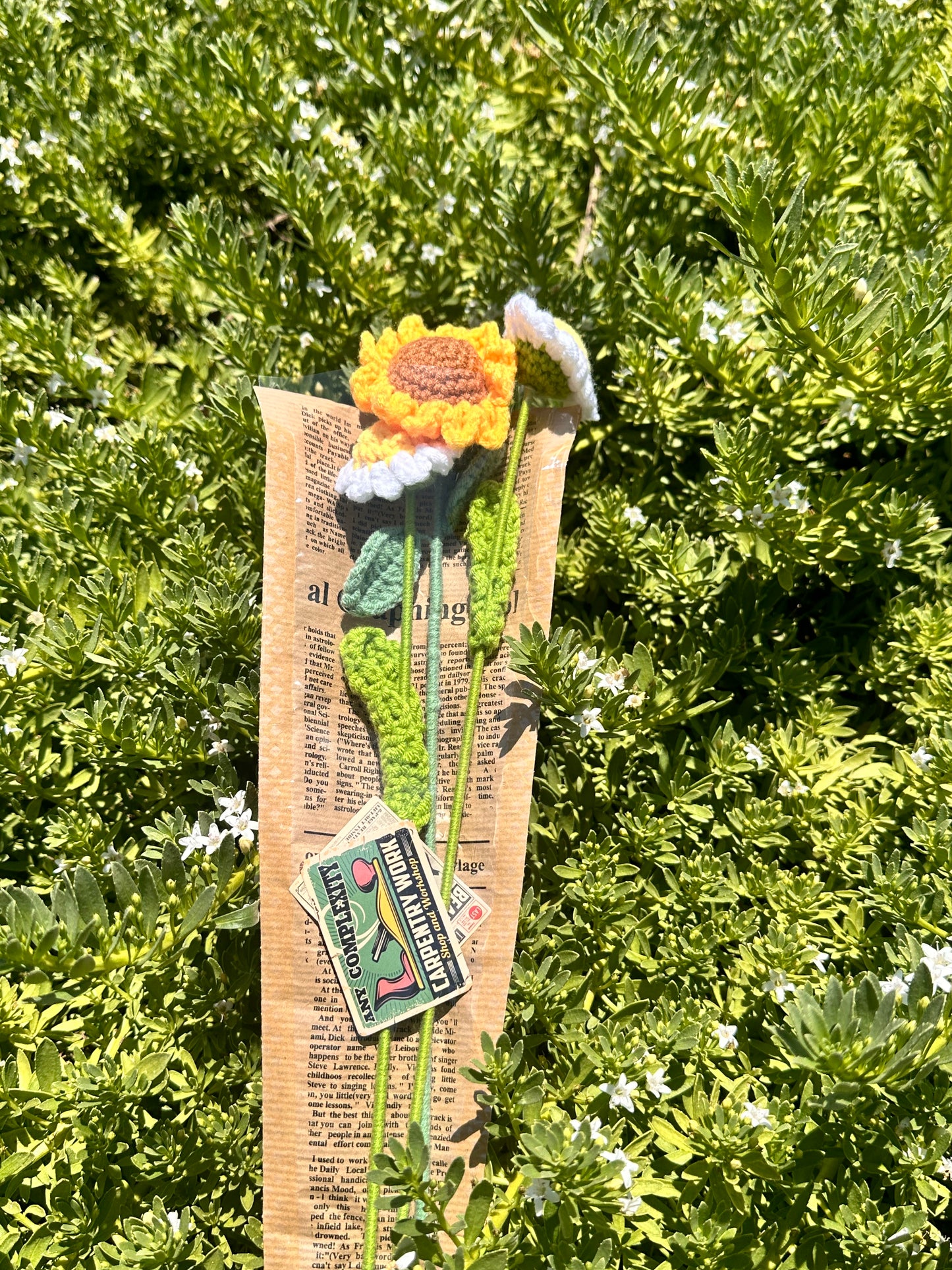 Sunflower bundle