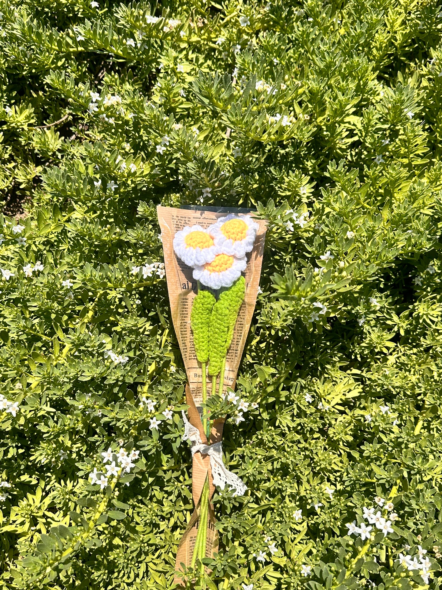 ୨୧ 𝓣𝓱𝓻𝓮𝓮 𝓓𝓪𝓲𝓼𝓲𝓮𝓼 ₊˚⊹